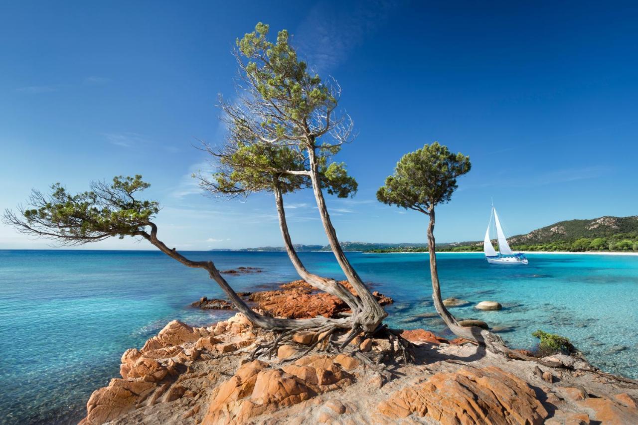 Villa Les Lieges De Palombaggia 维琪奥港 外观 照片